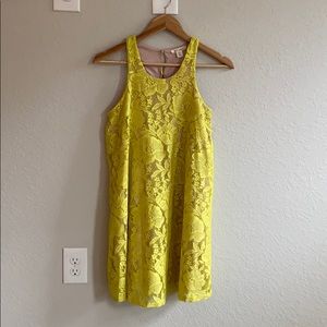 Francesca’s Spring Shift Dress